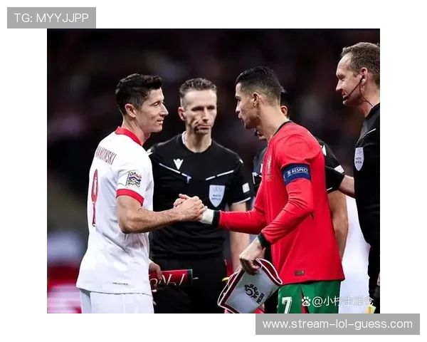 足球场上球星与球迷的差异与共鸣探讨